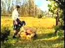 Kabarety i skecze - najlepsze online
